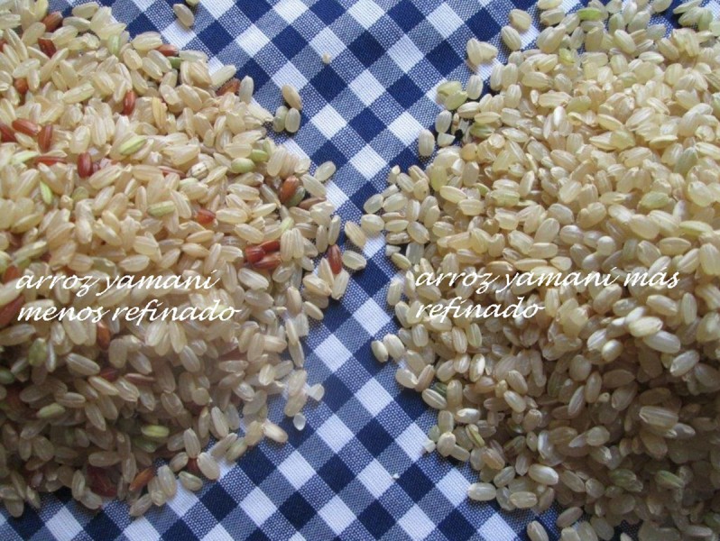 arroz-yamaniii