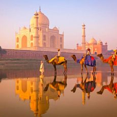 “India inolvidable, milenaria y gourmet” Octubre 2017